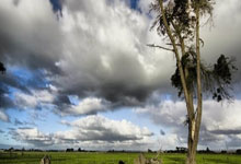 天涯八卦神贴：打开网络迷航者的快乐源泉，那些神贴总能让你哈哈大笑！